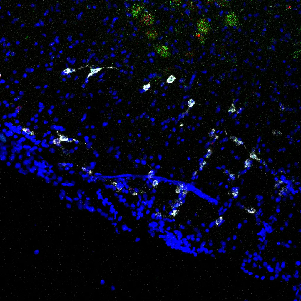 Vista general de una adquisición experimental del laboratorio.